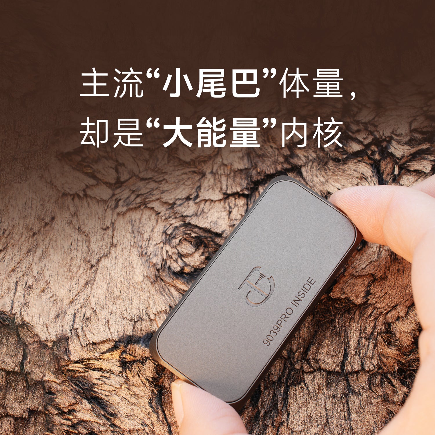 心境音頻 HeartField Acoustics 普羅米修斯 外置耳擴小尾巴解碼器