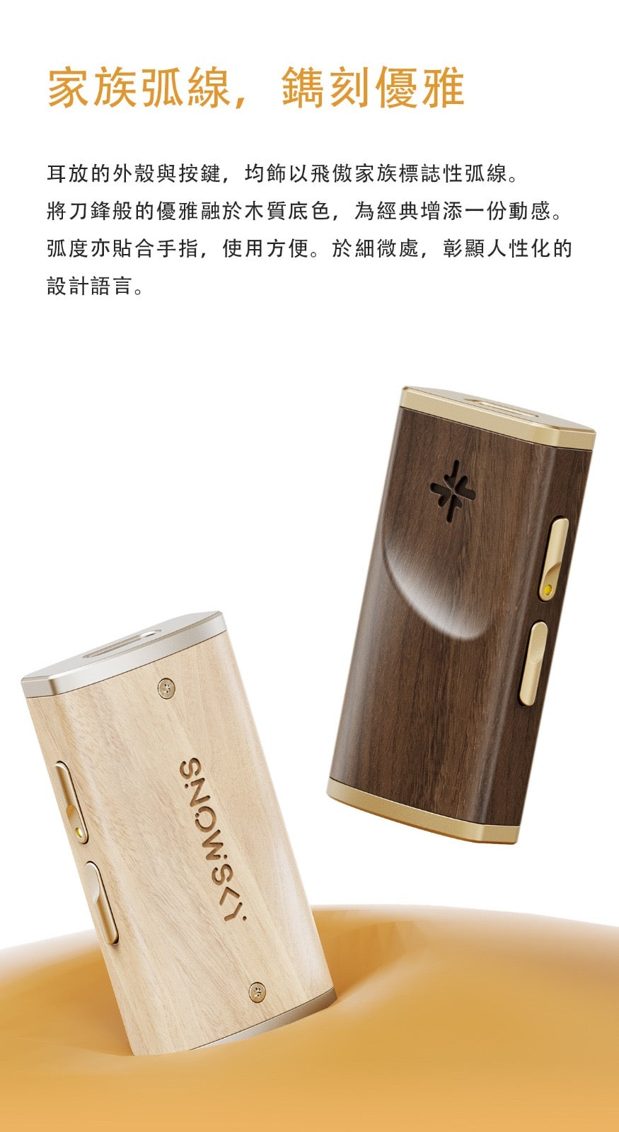 FiiO Snowsky Melody 解碼和耳機功率放大器