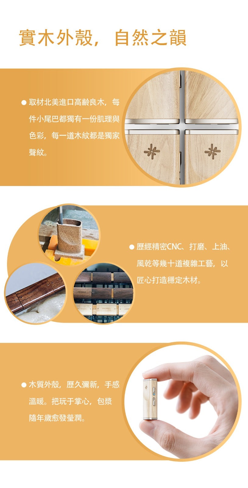 FiiO Snowsky Melody 解碼和耳機功率放大器
