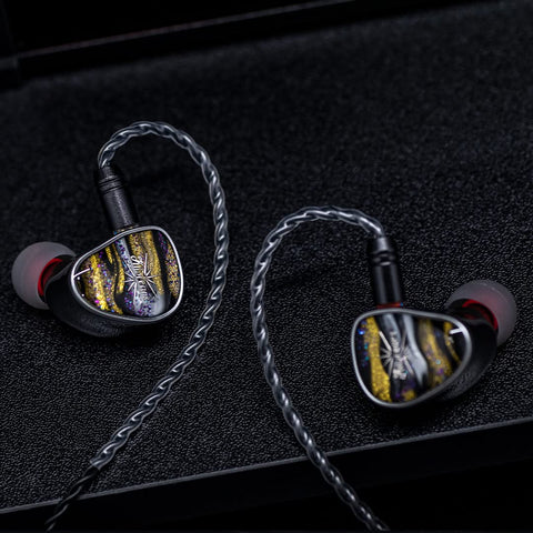 Kiwi Ears Étude