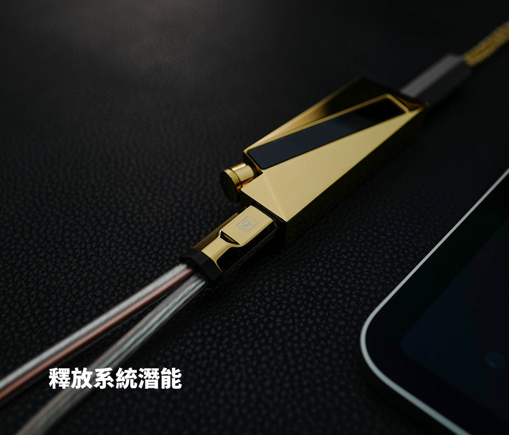 Luxury & Precision WY1 鏡面銅特挑版轉接線(不包括W4ACG)