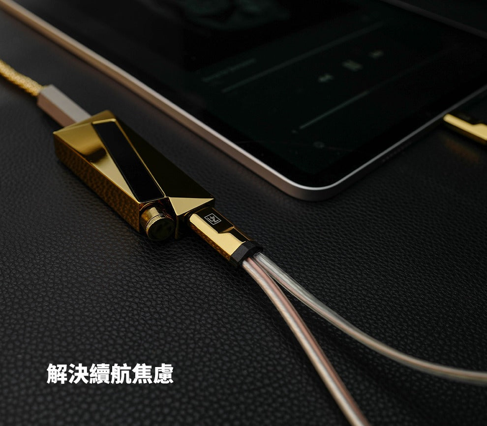 Luxury & Precision WY1 鏡面銅特挑版轉接線(不包括W4ACG)