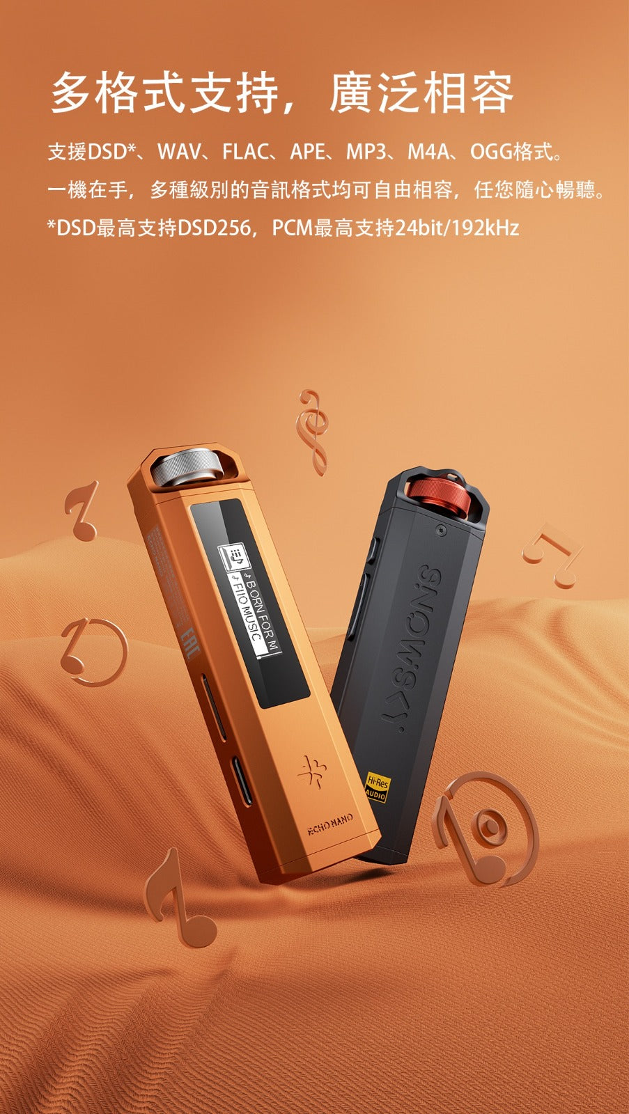 FiiO Snowsky Echo Nano ~便攜高清無損音樂播放機(現貨黑色，其他色大約兩個月）