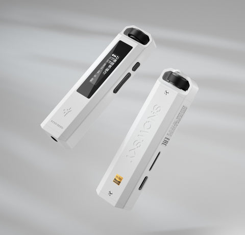 FiiO Snowsky Echo Nano ~便攜高清無損音樂播放機