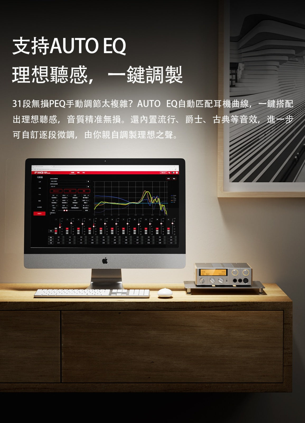 FiiO K17 R2R (台式解碼耳機功率放大器) 香港版