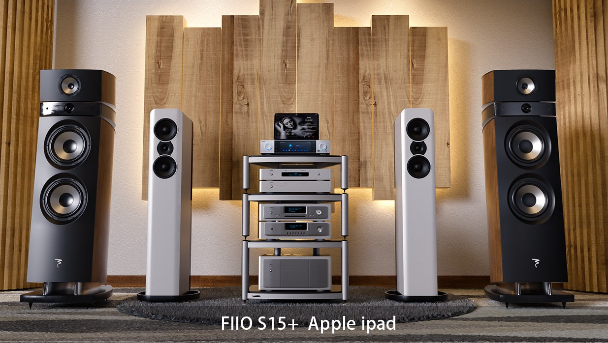 FIIO S15 - 香港版台式高清流媒體一體機